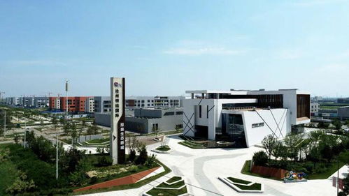 京津冀協(xié)同發(fā)展十年成效訪談錄 滄州市市長向輝 促進更多優(yōu)質(zhì)京津雄企業(yè)向滄州轉(zhuǎn)移