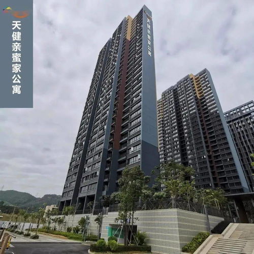 最低19元 m2 深圳多區(qū)公租房有好消息,快申請(qǐng)