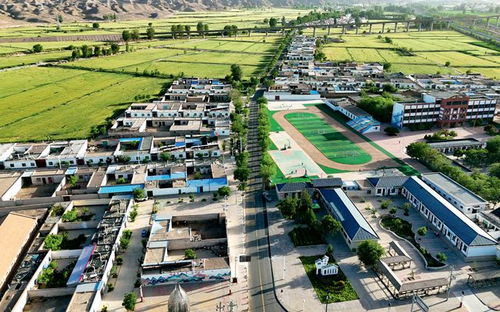 甘肅金昌市金川區(qū) 四好農(nóng)村路 為城鄉(xiāng)融合發(fā)展注入更多動(dòng)能