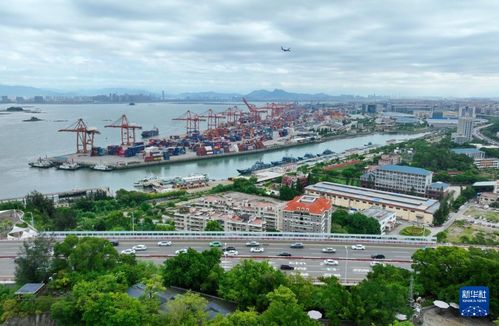 新華全媒 城市巡禮丨廈門 生態(tài)高顏值 發(fā)展高素質(zhì)