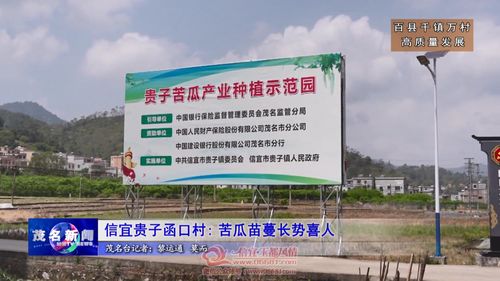 信宜這個(gè)鄉(xiāng)鎮(zhèn)大發(fā)展 公司 農(nóng)戶 合作社......目前正值春耕 在信宜市貴子鎮(zhèn)函口村田間,瓜農(nóng)們正在對(duì)該鎮(zhèn)的特色農(nóng)產(chǎn)品苦瓜進(jìn)行培育,苦瓜苗蔓長勢(shì)喜人 在貴子鎮(zhèn)函口村苦瓜種植基地里