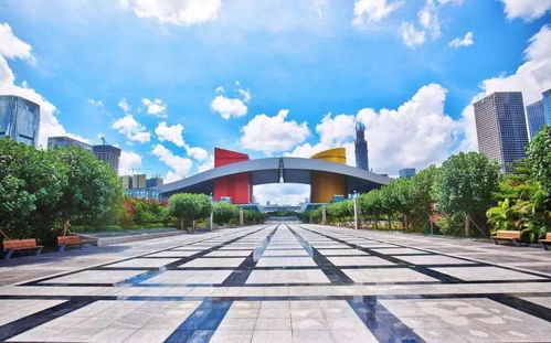 如何全面提高深圳經(jīng)濟(jì)特區(qū)發(fā)展平衡性和協(xié)調(diào)性 這個(gè)會(huì)講明白了