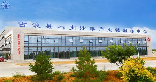 產(chǎn)業(yè)振興 領(lǐng)頭羊 甘肅武威市古浪縣增收致富促發(fā)展