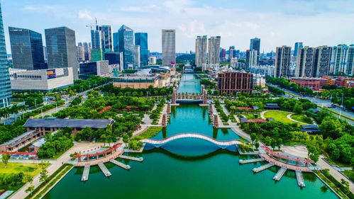 小小無(wú)人機(jī),社會(huì)治理大創(chuàng)新 桂城yyds