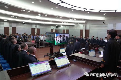 通遼市中級(jí)法院掃黑除惡再發(fā)力 多個(gè)涉黑組織栽了