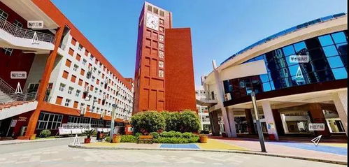 揭秘鄭州以 外國語 命名的十幾所學(xué)校,它們都是啥關(guān)系