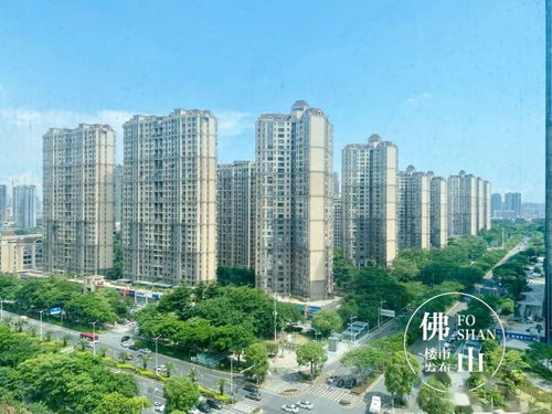 捂盤 捆綁銷售 囤房炒房等嚴(yán)查 順德開(kāi)展房地產(chǎn)專項(xiàng)檢查