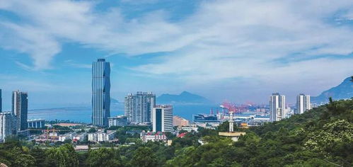 即日起,全市檢查