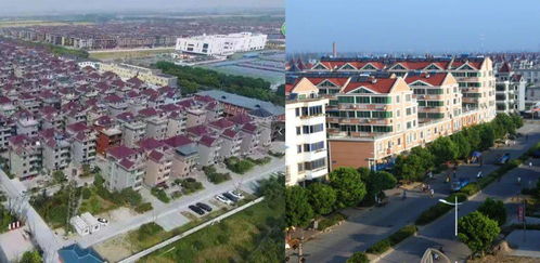 恭喜 海寧25個(gè)村 社區(qū)入選省級(jí)名單 太讓人羨慕了