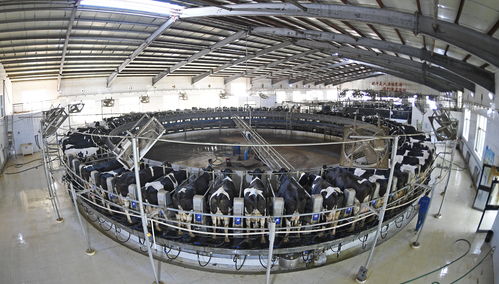 創(chuàng)新發(fā)展之農(nóng)業(yè)現(xiàn)代化之路