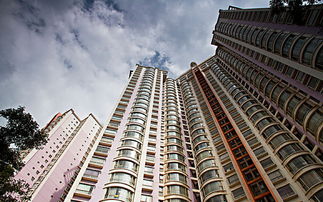 12.17城市晚報 杭州18個計生協(xié)更名為人口家庭協(xié)會 社區(qū)書記或主任擔(dān)任會長