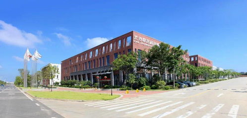 有束光 99.999999 ,做最 純 的創(chuàng)業(yè)者