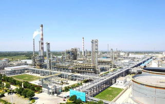 我國又誕生一座新 石油大城 全國唯一可以接替大慶的地方