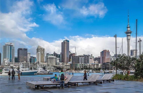 市中心 大學(xué)旁邊.文法校網(wǎng).入門級公寓拍賣必售 may mark專業(yè)房地產(chǎn)銷售團(tuán)隊(duì)