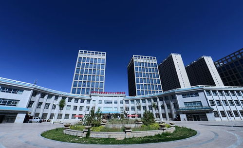 孟海專題研究格爾木市經(jīng)濟(jì)運(yùn)行工作