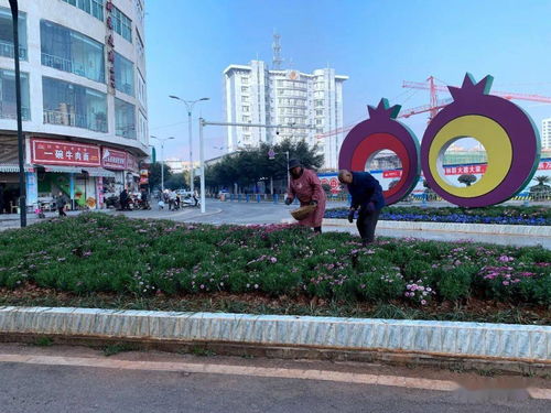 縣城管局扎實做好春節(jié)期間城市運(yùn)行保障工作