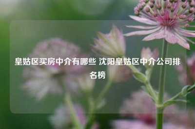 皇姑區(qū)買(mǎi)房中介有哪些 沈陽(yáng)皇姑區(qū)中介公司排名榜